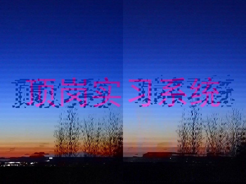 顶岗实习系统