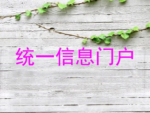 统一信息门户