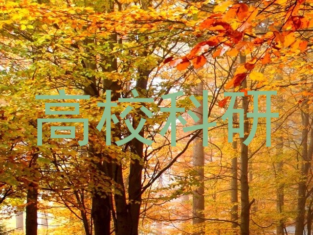 高校科研