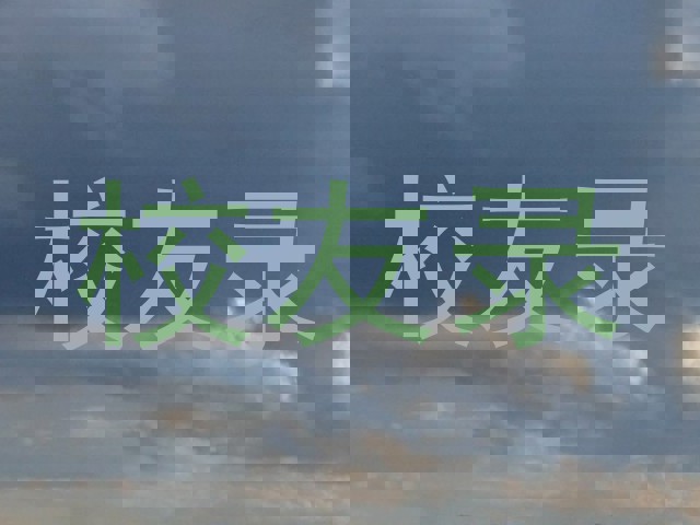 校友录