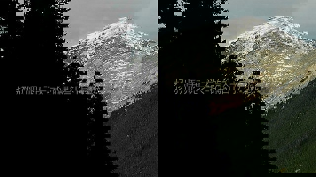 扬州师范大学的融合门户系统：让学习更亲近