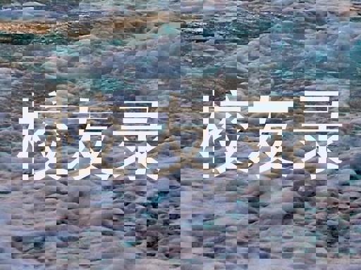 校友录