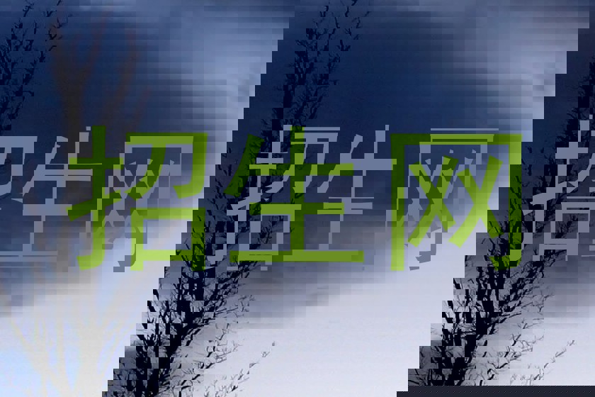 招生网