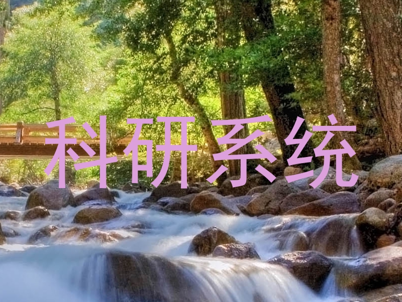 科研系统