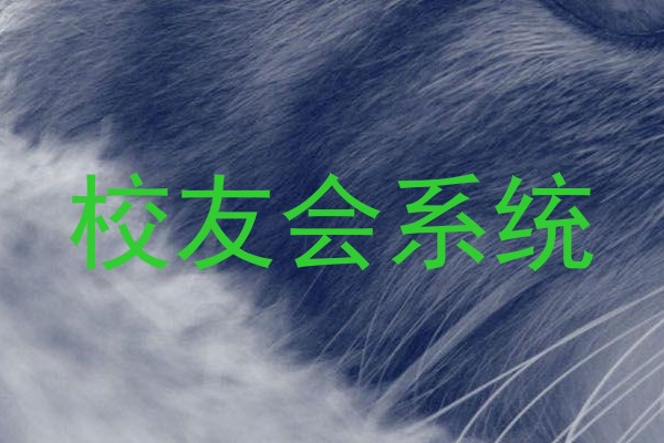 校友会系统