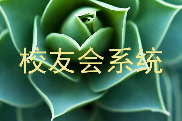 校友会系统