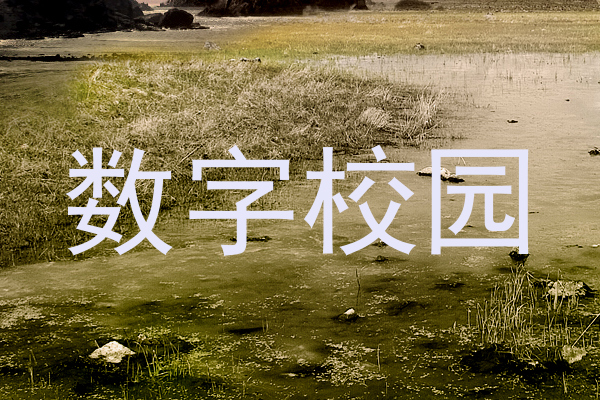 数字校园