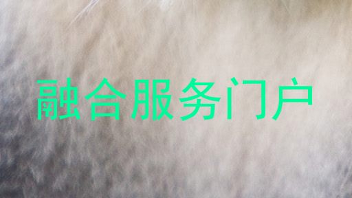 融合服务门户