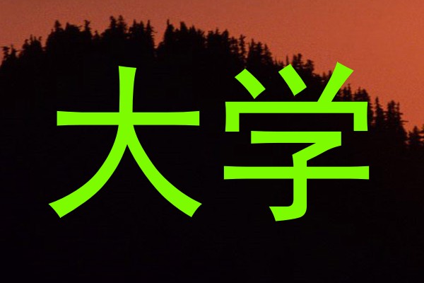 大学