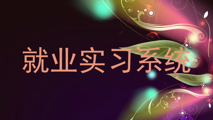 就业实习系统