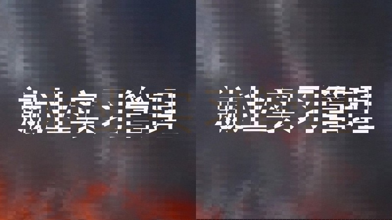 就业实习管理