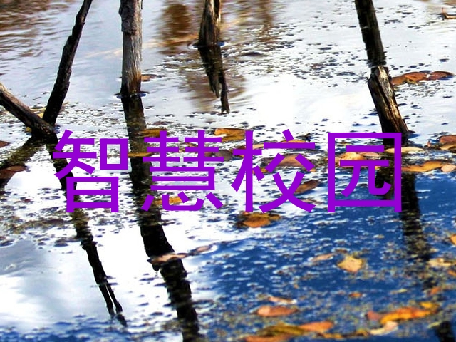 智慧校园