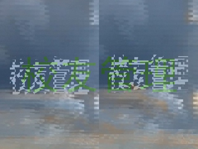 校友管理