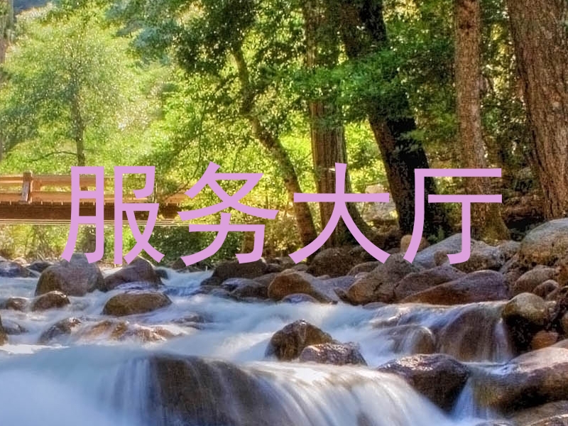 服务大厅