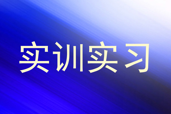 实训实习