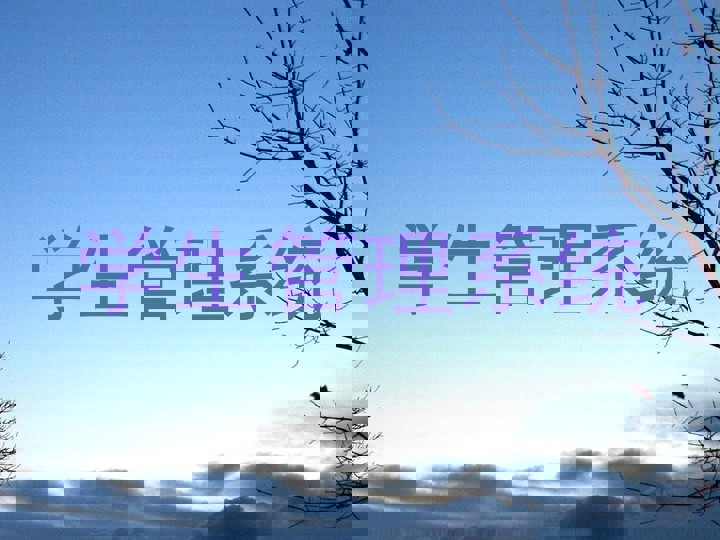 学生管理系统
