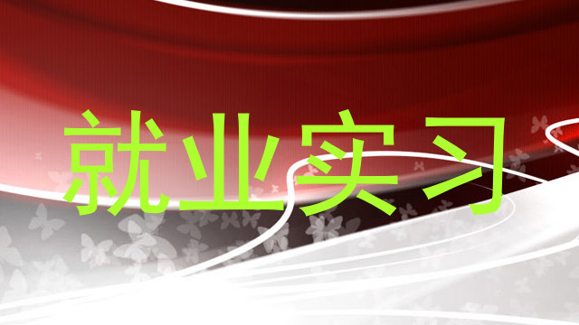 就业实习