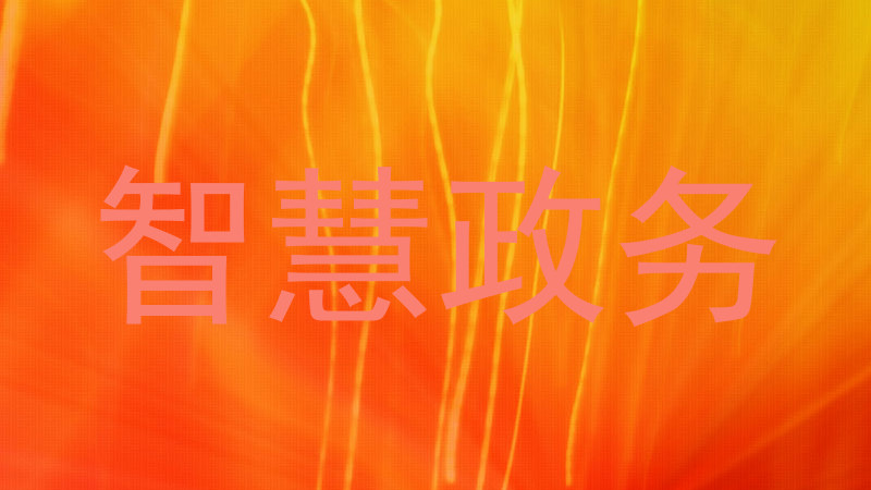 智慧政务