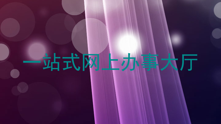 一站式网上办事大厅