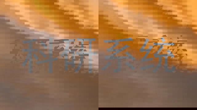 科研系统