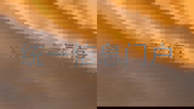 统一信息门户