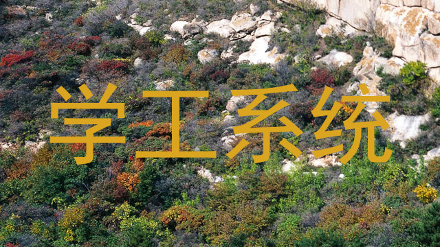 学工系统
