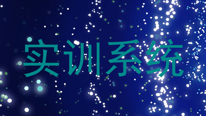 实训系统