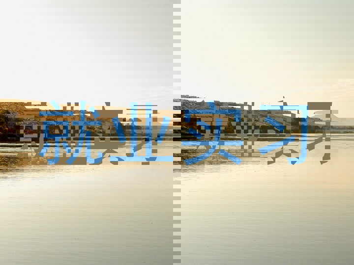 就业实习