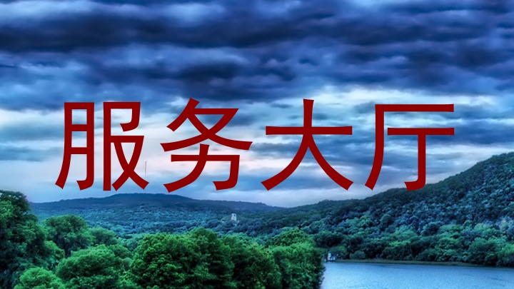 服务大厅