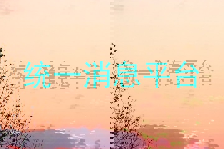 统一消息平台