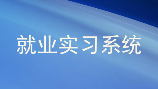 就业实习系统