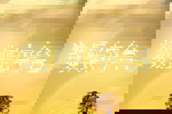 数据中台