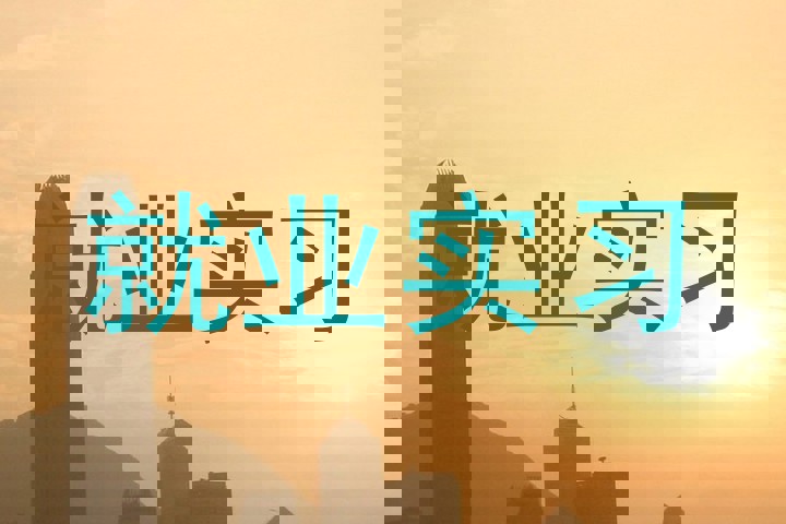 就业实习