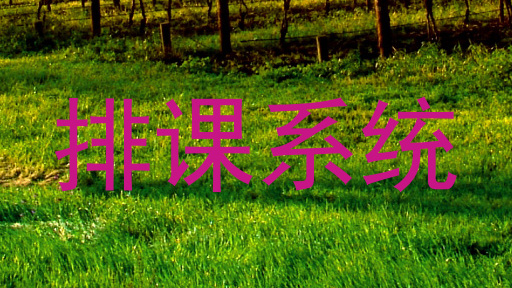 排课系统