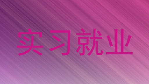 实习就业