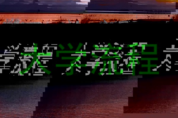 大学流程