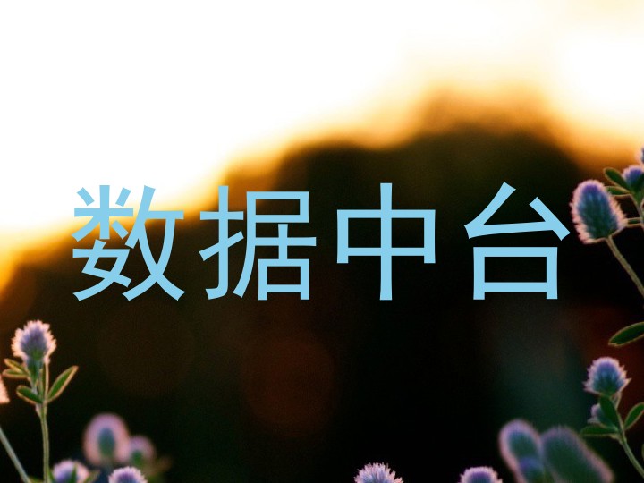 数据中台