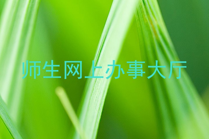 师生网上办事大厅