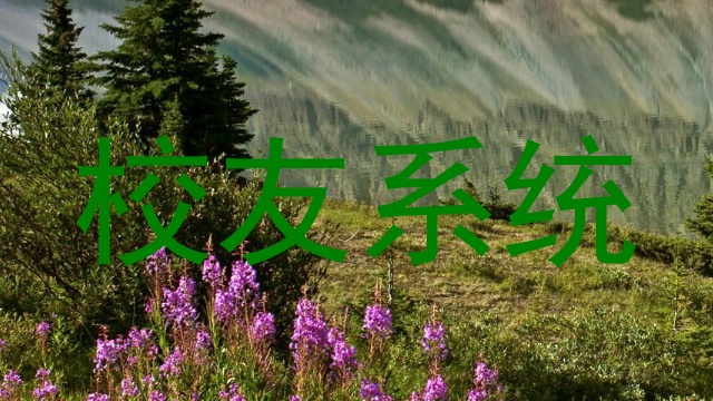 校友系统