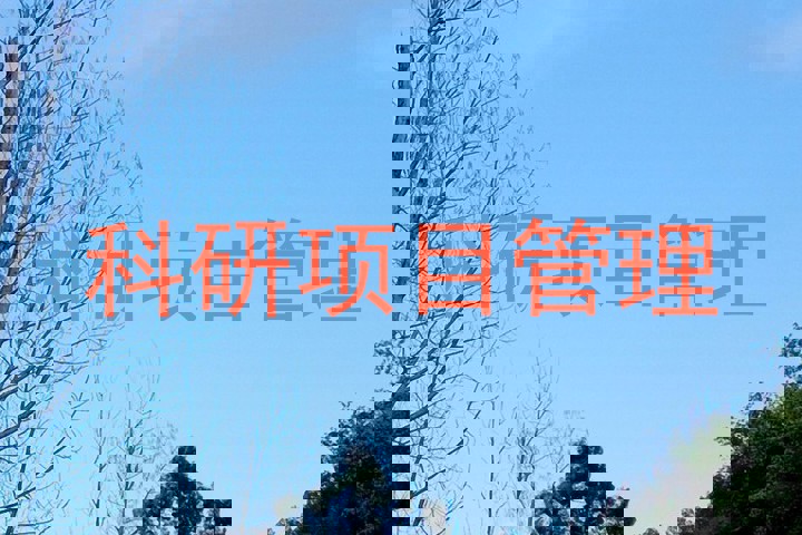 科研项目管理