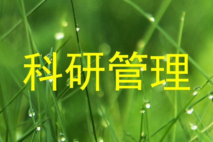 科研管理