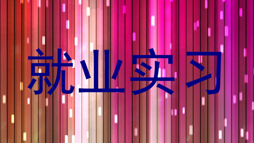 就业实习