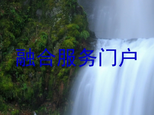 融合服务门户