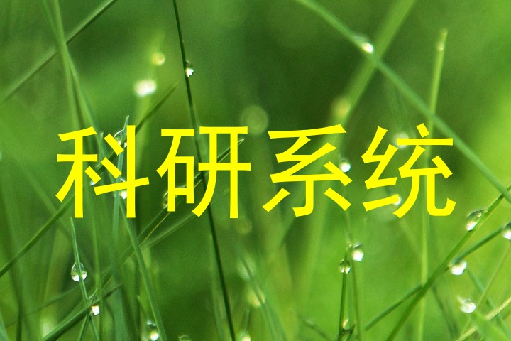 科研系统