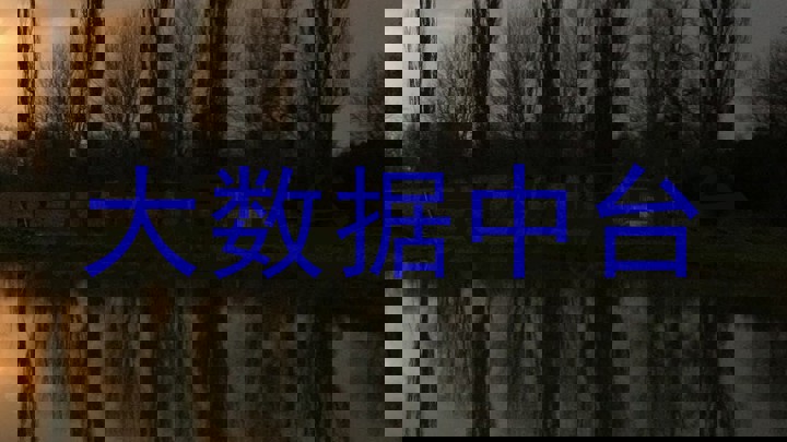 大数据中台