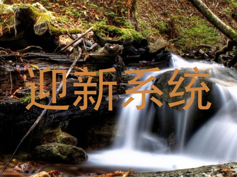 迎新系统