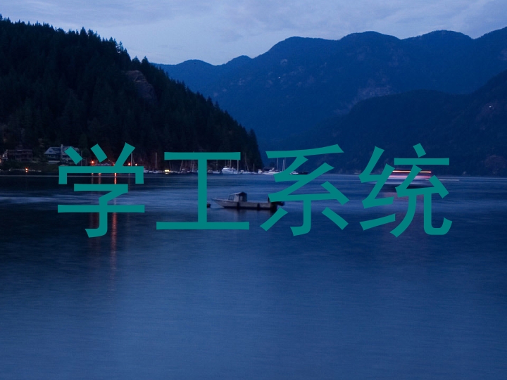 学工系统