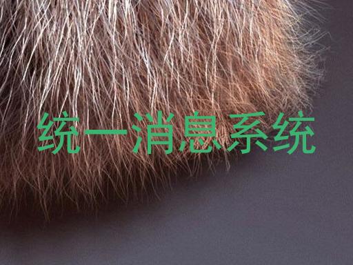 统一消息系统