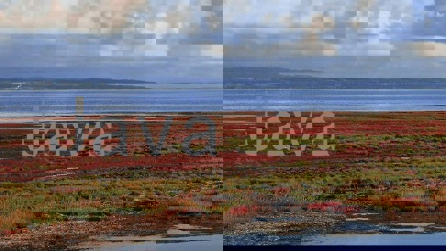 Java