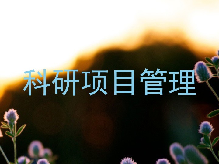 科研项目管理